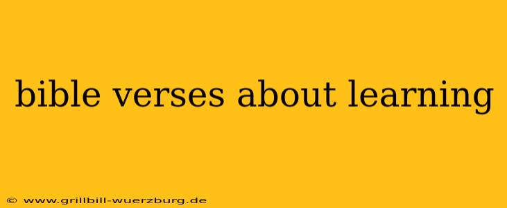 bible verses about learning