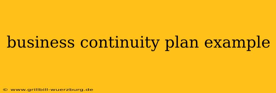 business continuity plan example