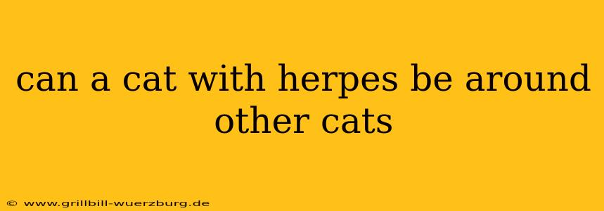 can a cat with herpes be around other cats