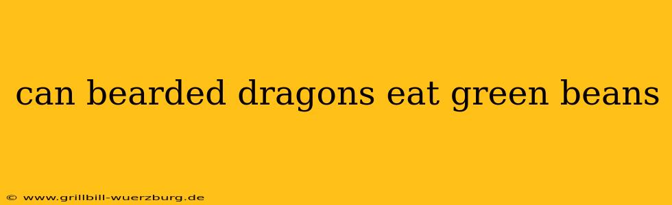 can bearded dragons eat green beans