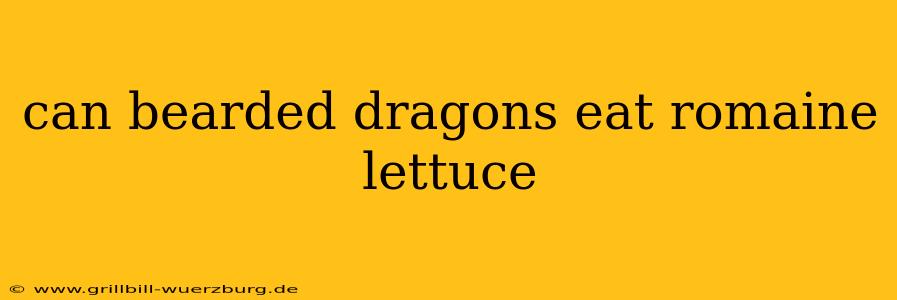 can bearded dragons eat romaine lettuce