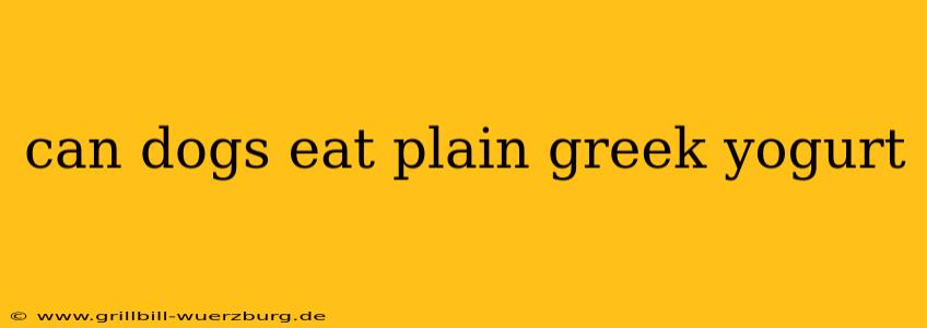 can dogs eat plain greek yogurt