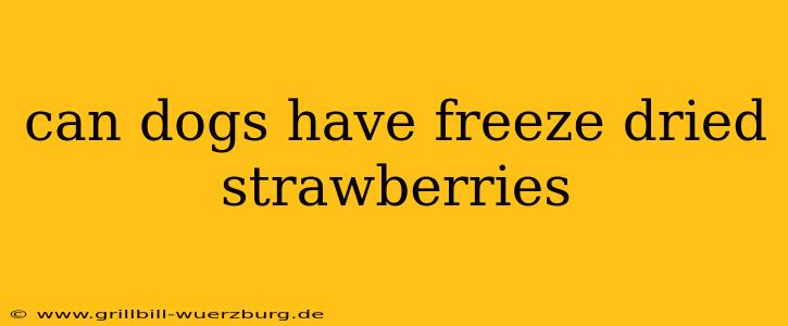 can dogs have freeze dried strawberries