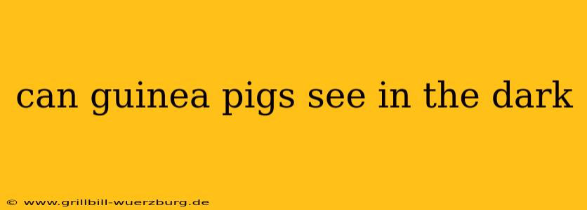 can guinea pigs see in the dark