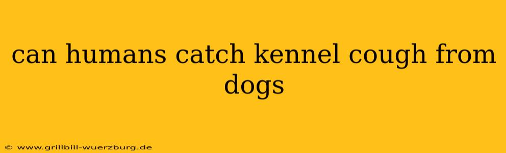 can humans catch kennel cough from dogs