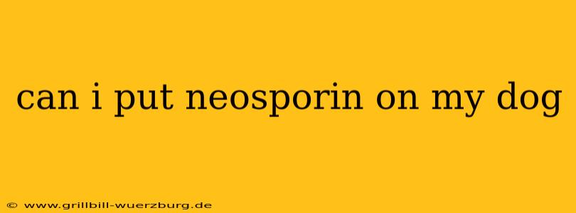 can i put neosporin on my dog