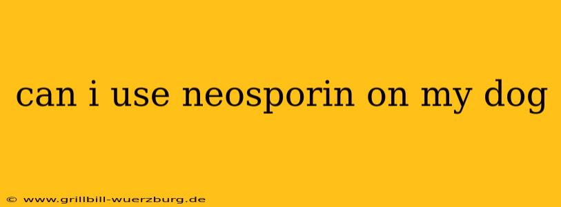 can i use neosporin on my dog