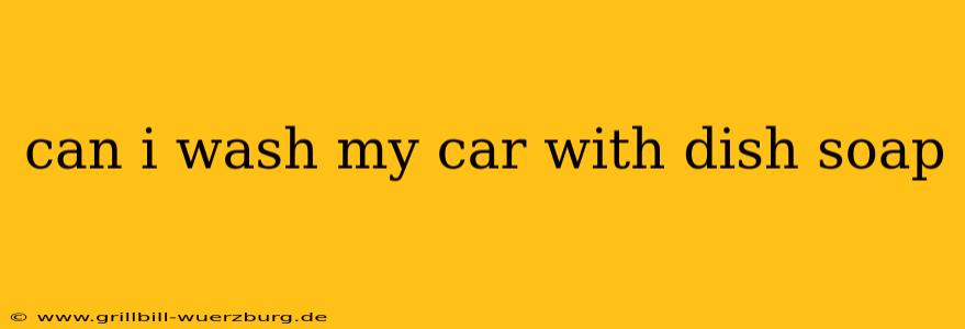 can i wash my car with dish soap