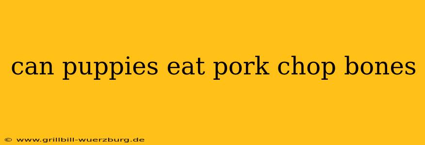 can puppies eat pork chop bones