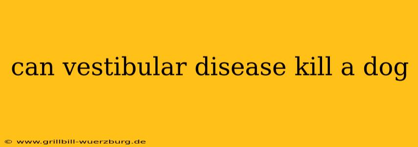 can vestibular disease kill a dog