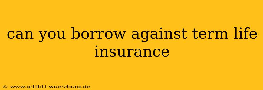 can you borrow against term life insurance