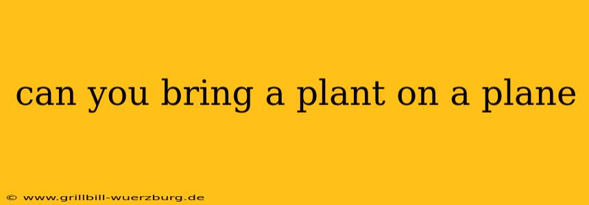 can you bring a plant on a plane