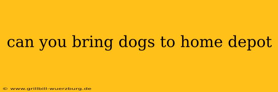 can you bring dogs to home depot
