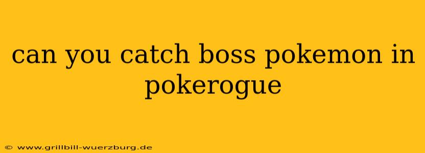 can you catch boss pokemon in pokerogue