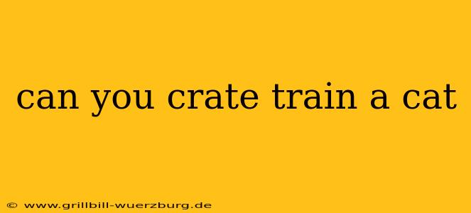 can you crate train a cat