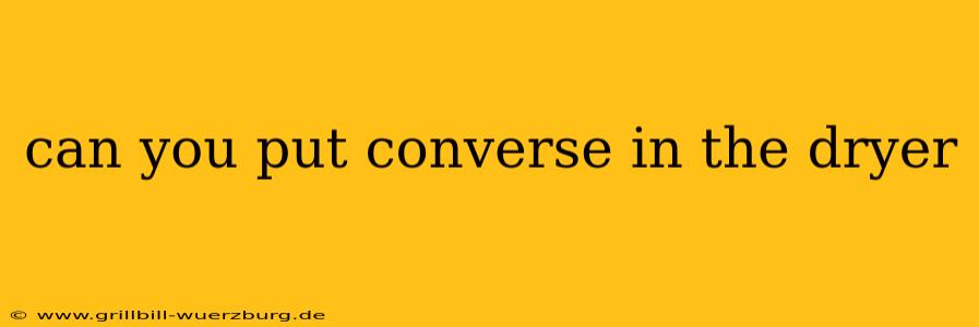 can you put converse in the dryer