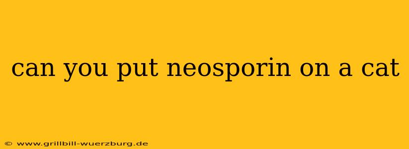 can you put neosporin on a cat