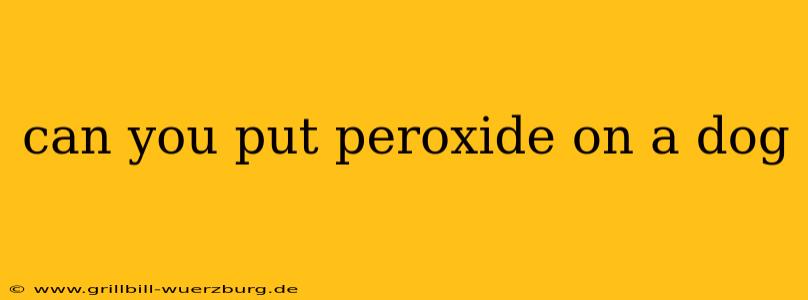 can you put peroxide on a dog