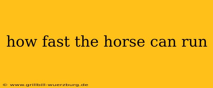 how fast the horse can run