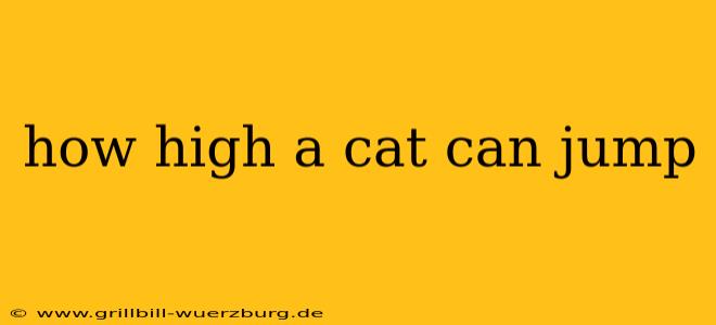 how high a cat can jump
