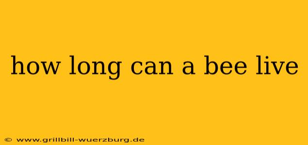 how long can a bee live