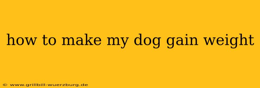 how to make my dog gain weight