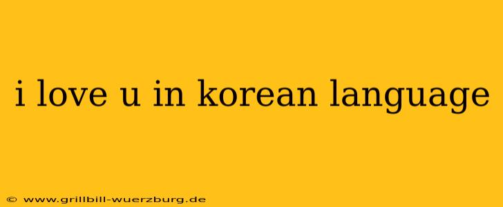 i love u in korean language