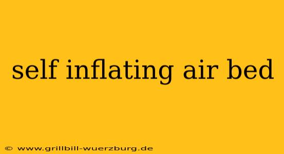 self inflating air bed