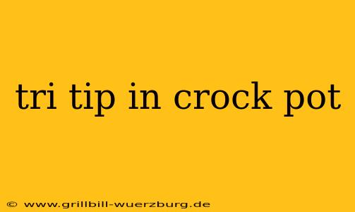 tri tip in crock pot
