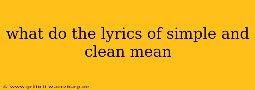 what do the lyrics of simple and clean mean