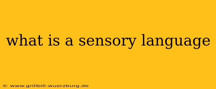 what is a sensory language