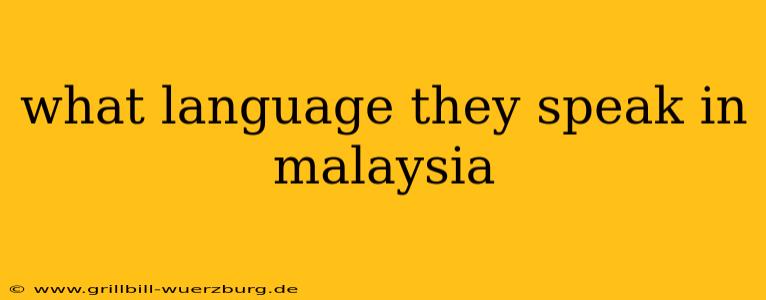 what language they speak in malaysia