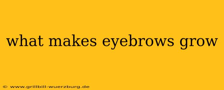 what makes eyebrows grow