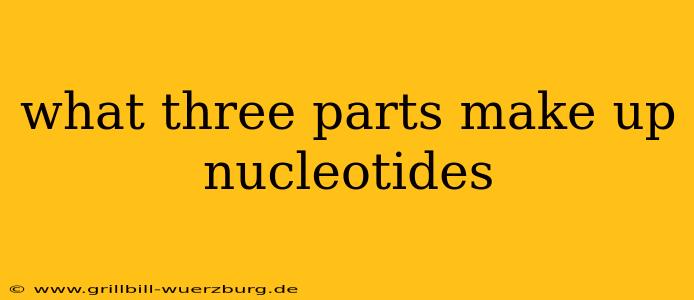 what three parts make up nucleotides