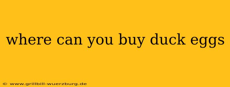where can you buy duck eggs
