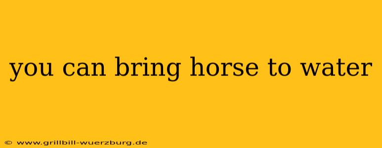 you can bring horse to water